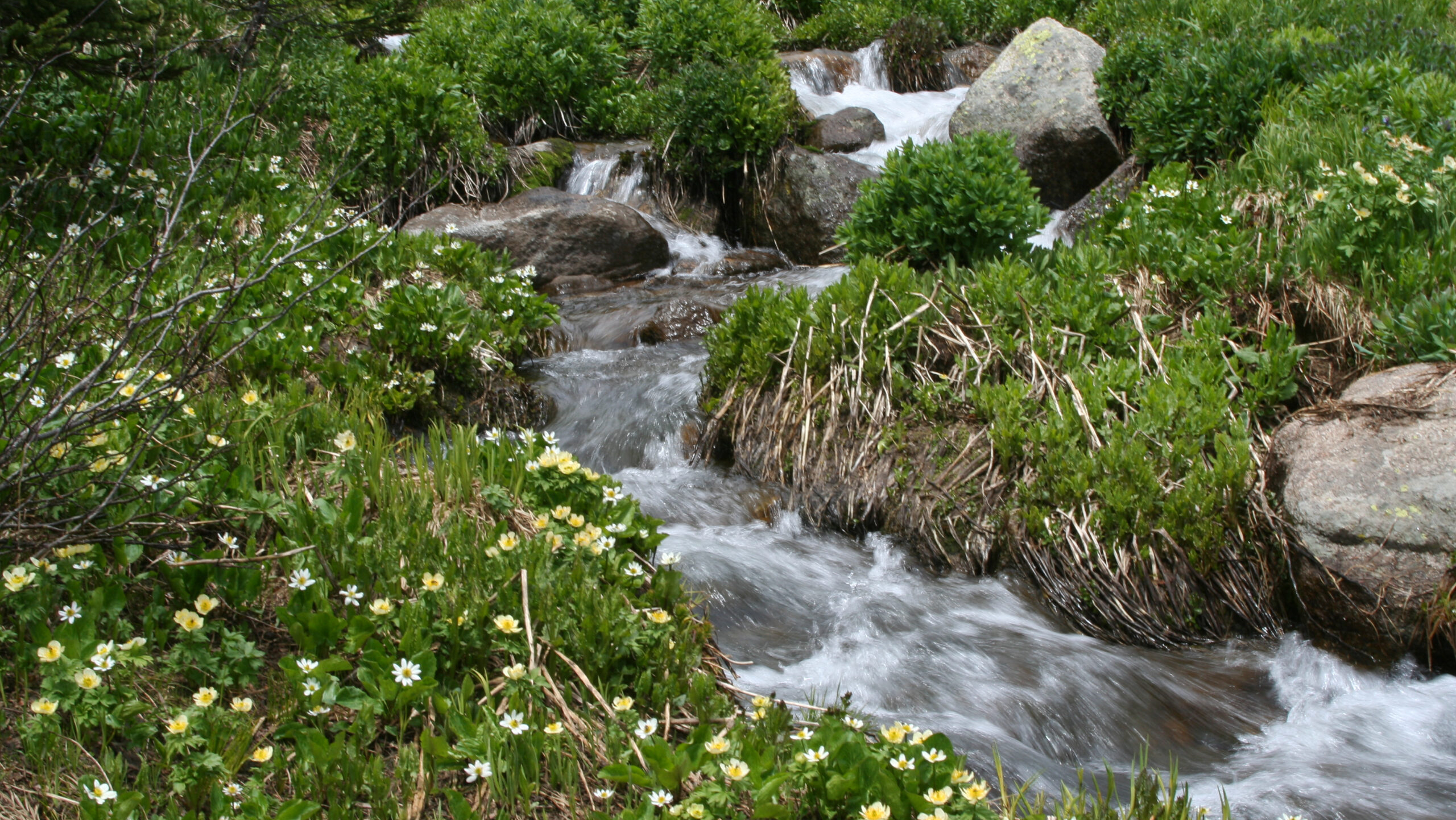 Boulder County Water Development Seminar: Past Present and Future
